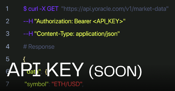 API key interface showing code examples and curl commands for market data access